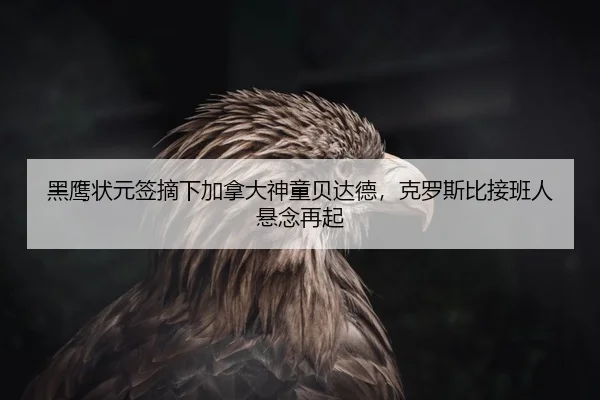 黑鹰状元签摘下加拿大神童贝达德，克罗斯比接班人悬念再起